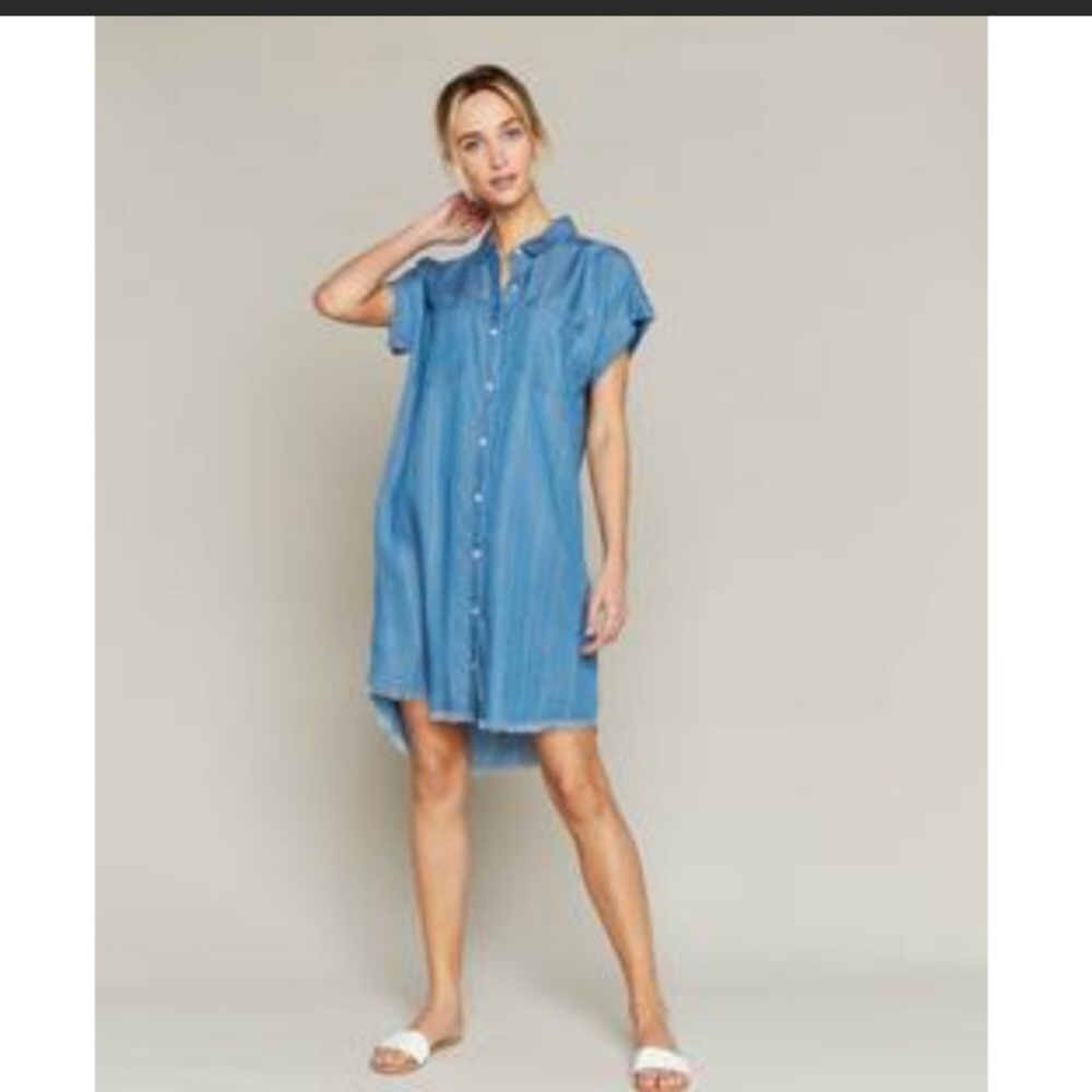 Thread & Supply Raw Edge Shift Dress